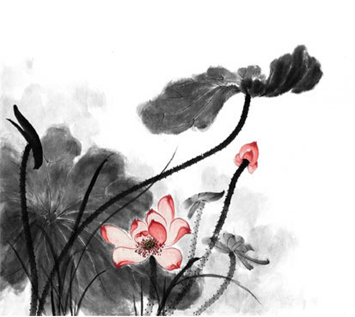萱姿國際心靈益站